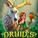 Druid's Enchanted game icon