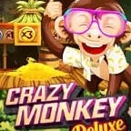 Crazy Monkey Deluxe screenshot